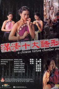 A Chinese Torture Chamber Story