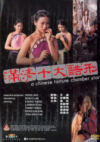 A Chinese Torture Chamber Story