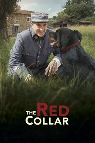 The Red Collar
