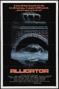 Alligator