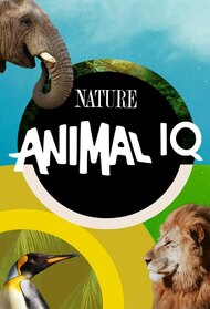 Animal IQ