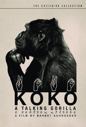 Koko - A Talking Gorilla