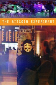 The Bitcoin Experiment