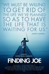 Finding Joe