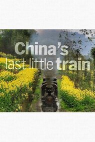 China's Last Little Train