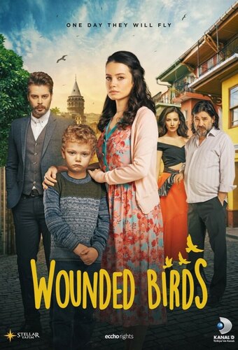 Wounded Birds
