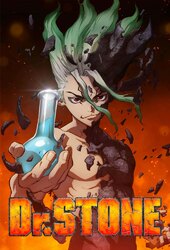 /anime/966385/dr-stone