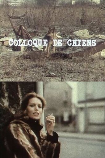 Dog's Dialogue