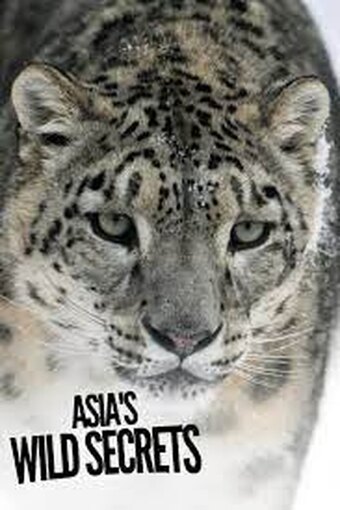 Asia's Wild Secrets