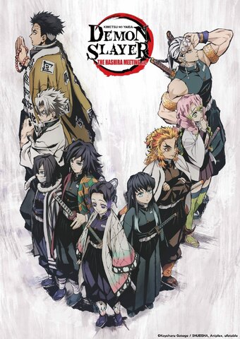 Demon Slayer: Kimetsu no Yaiba The Hashira Meeting Arc