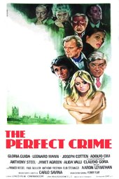 The Perfect Crime