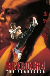 Kickboxer 4: The Aggressor