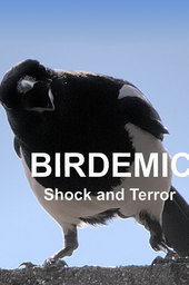 Birdemic: Shock and Terror