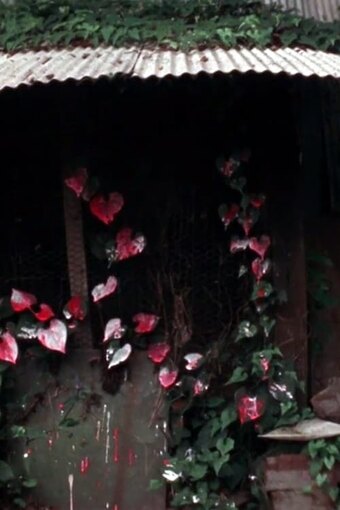 Shelter