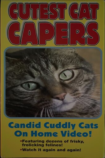 Cutest Cat Capers