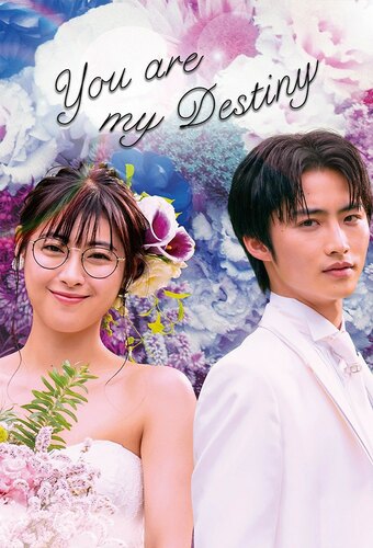 You Are My Destiny (JP)
