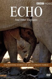 Echo of the Elephants, The Story of an Elephant Family