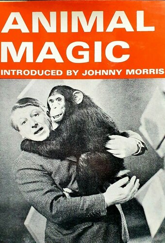 Animal Magic