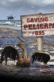 Saving Pelican 895