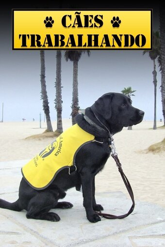 Blue Collar Dogs