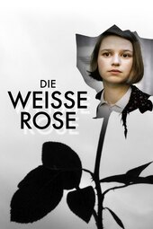 /movies/65140/the-white-rose