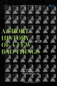 A Short History of a Few Bad Things