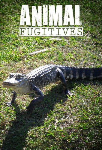 Animal Fugitives