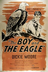 The Boy and the Eagle