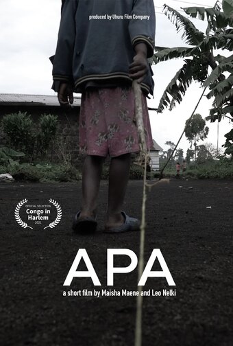 APA