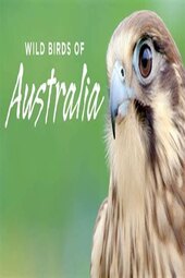 Wild Birds of Australia