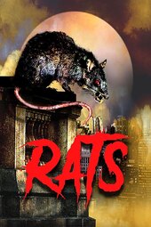 Rats