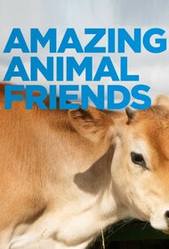 Amazing Animal Friends