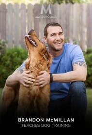 MasterClass: Brandon McMillan Teaches Dog Training