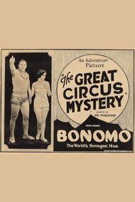 The Great Circus Mystery
