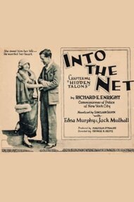 Into the Net
