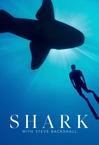 Shark with Steve Backshall
