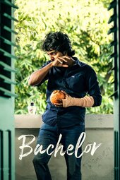 Bachelor