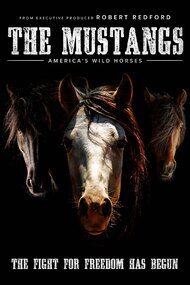 The Mustangs: America's Wild Horses