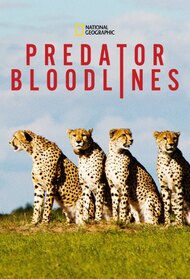 Predator Bloodlines