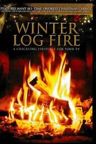 Winter Log Fire