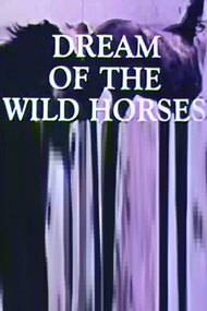 Dream of the Wild Horses