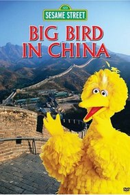 Big Bird in China