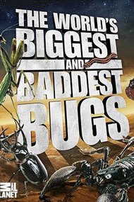 The World's Biggest and Baddest Bugs