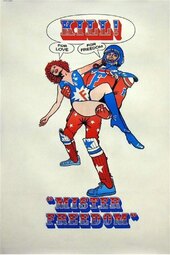 Mr. Freedom