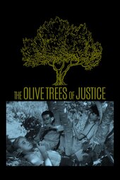 The Olive Trees of Justice