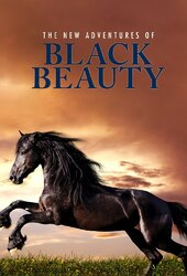 The New Adventures of Black Beauty