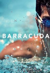 Barracuda