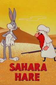 Sahara Hare