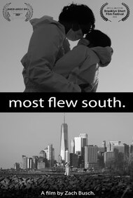 Most Flew South