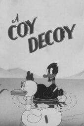 A Coy Decoy